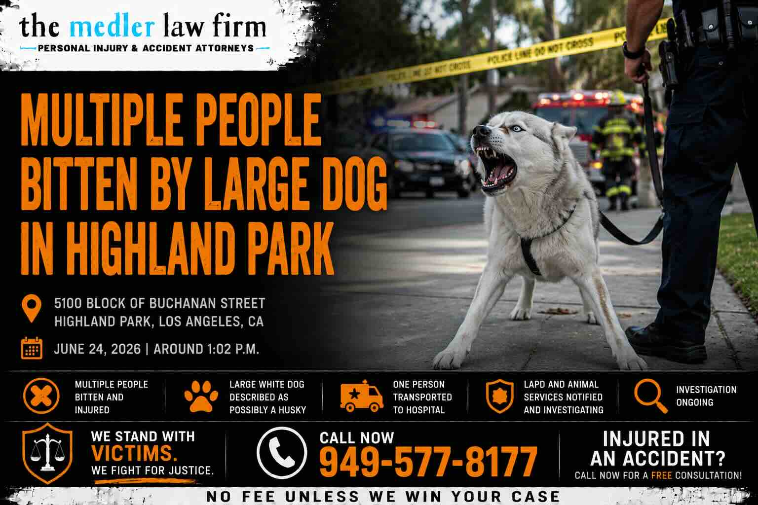 Multiple People Bitten by Large Dog in Highland Park